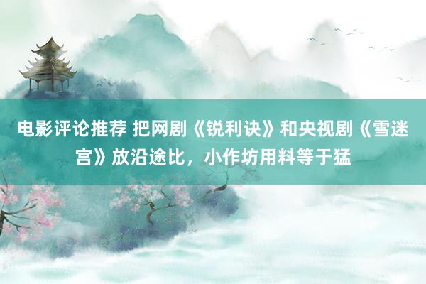 电影评论推荐 把网剧《锐利诀》和央视剧《雪迷宫》放沿途比，小作坊用料等于猛